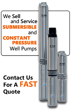 Submersible and Constant Pressure Well Pumps